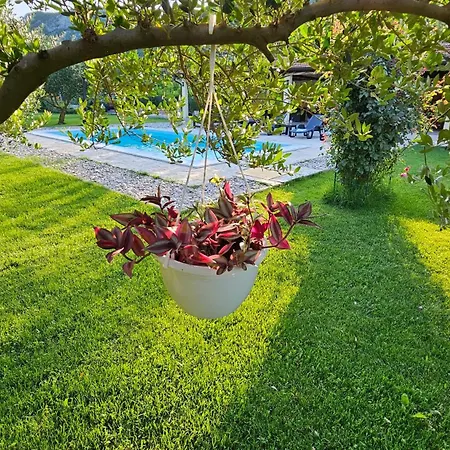 Сasa de vacaciones Natura With Private Pool *